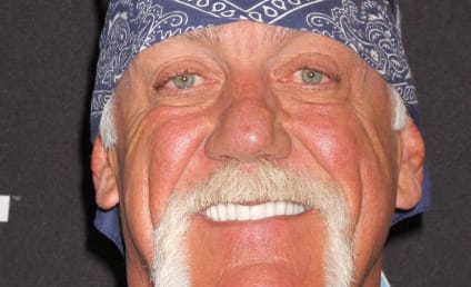 Hulk Hogan Bankrupted Gawker | Crossing Broad
