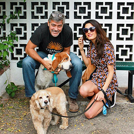 George Clooney and Amal Alamuddin and a Dog